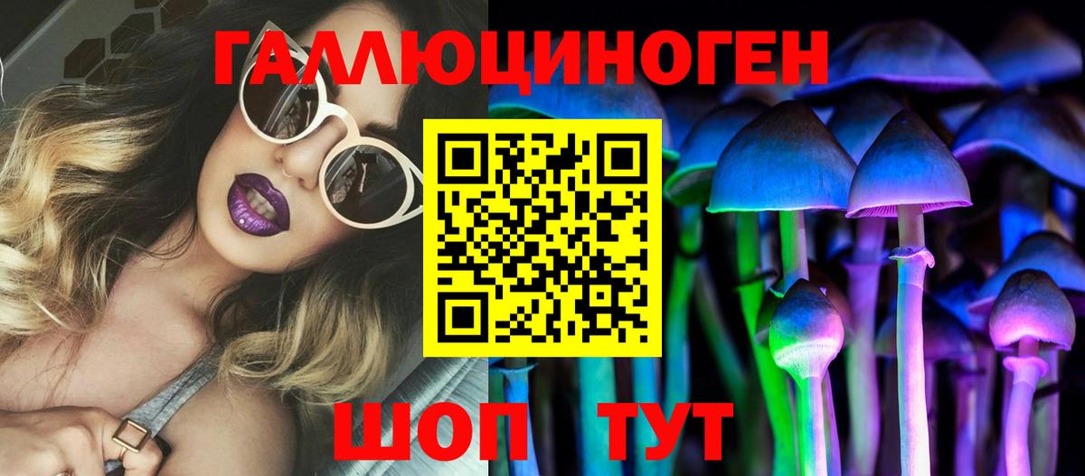 Урюпинск  сколько стоит  Вход с VPN  Псилоцибиновые грибы Cubensis 